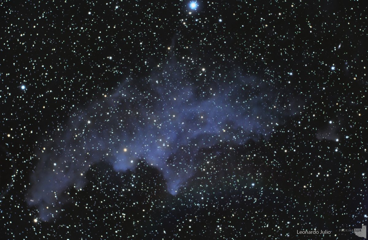 IC 2118 Witch Head Nebula