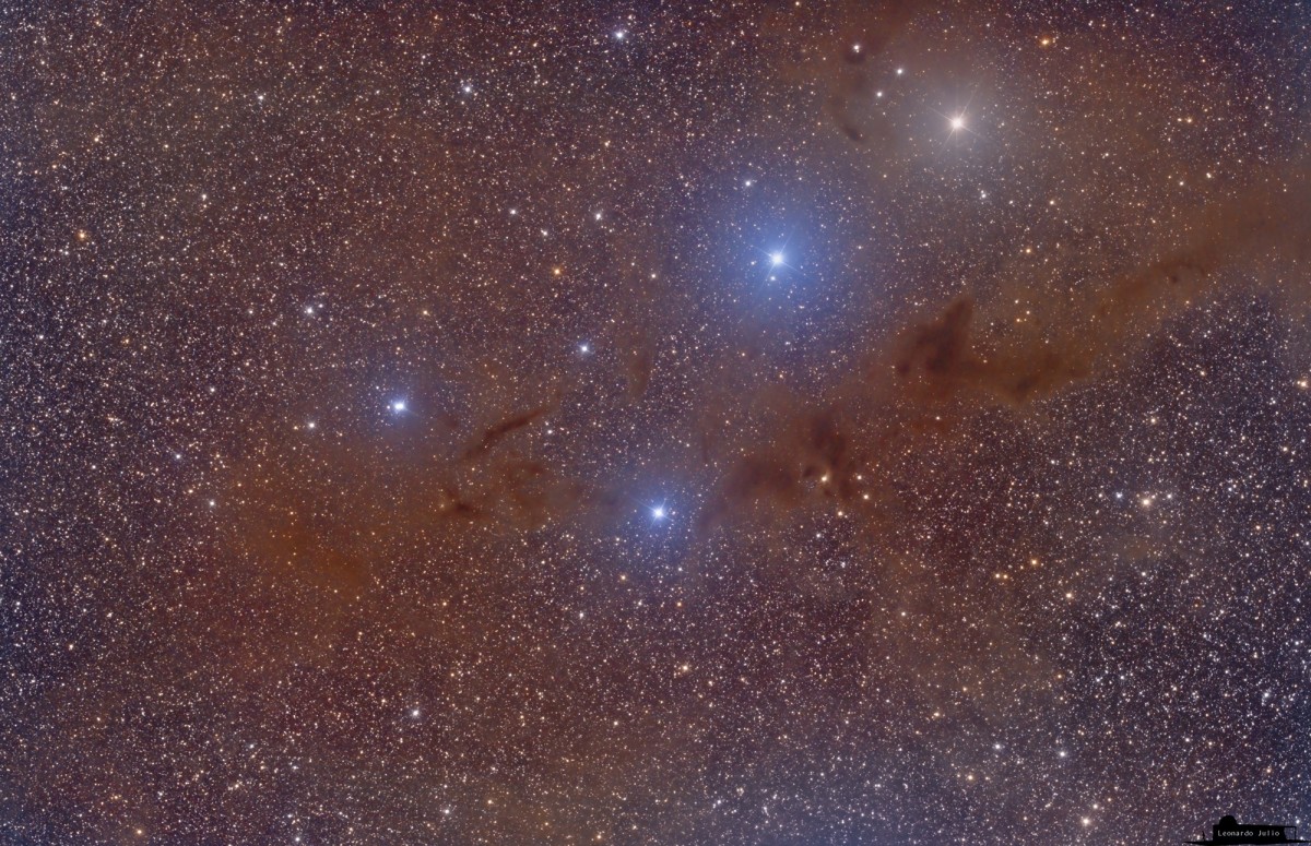 B228 the Dark Wolf Nebula