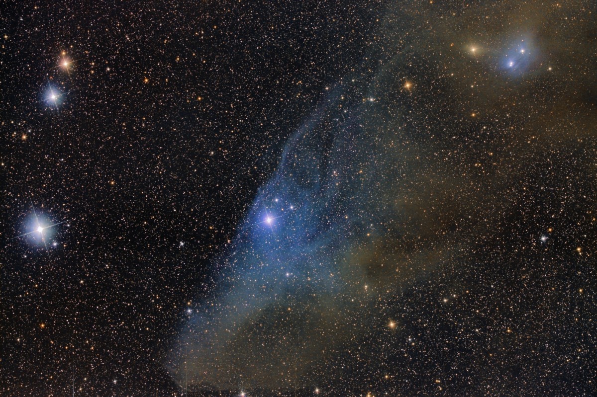 IC 4592 Horse Head Shaped Reflection Nebula