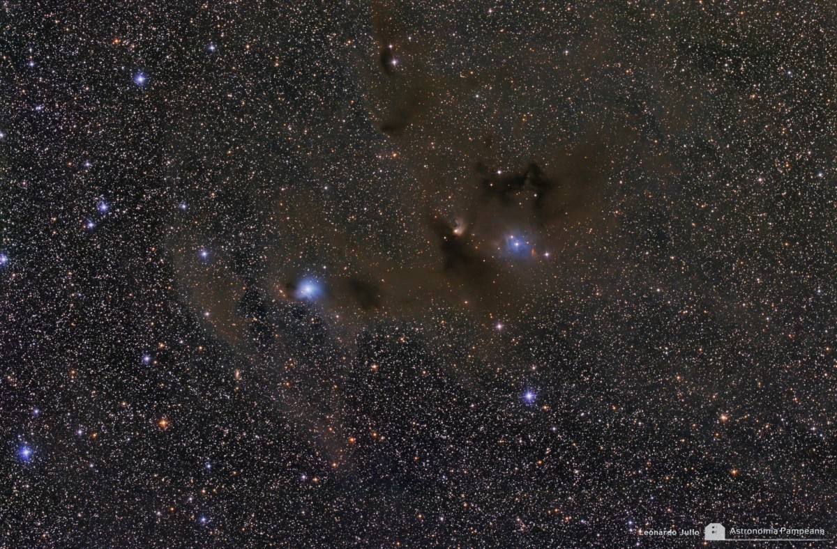 IC 2631