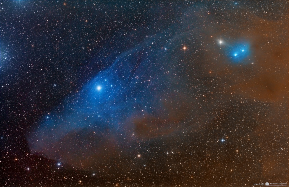 IC 4592 Horse Head Shaped Reflection Nebula