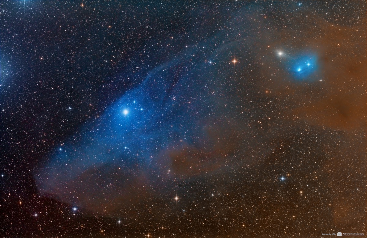 IC 4592 Horse Head Shaped Reflection Nebula