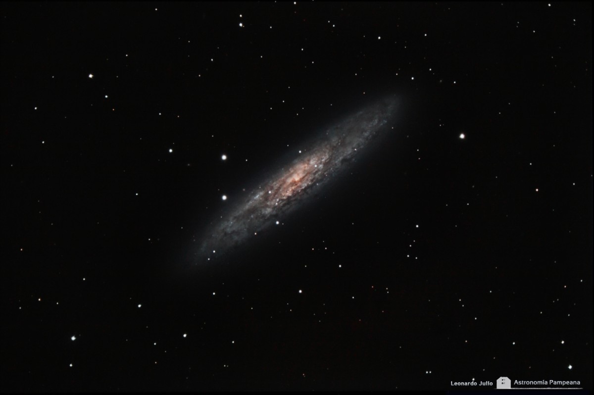 NGC 253 Sculptor Galaxy
