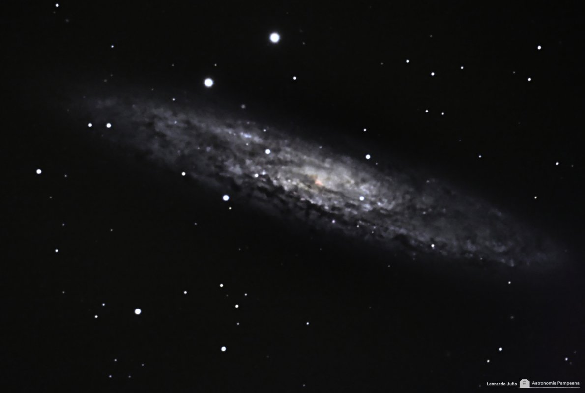 NGC 253 Sculptor Galaxy