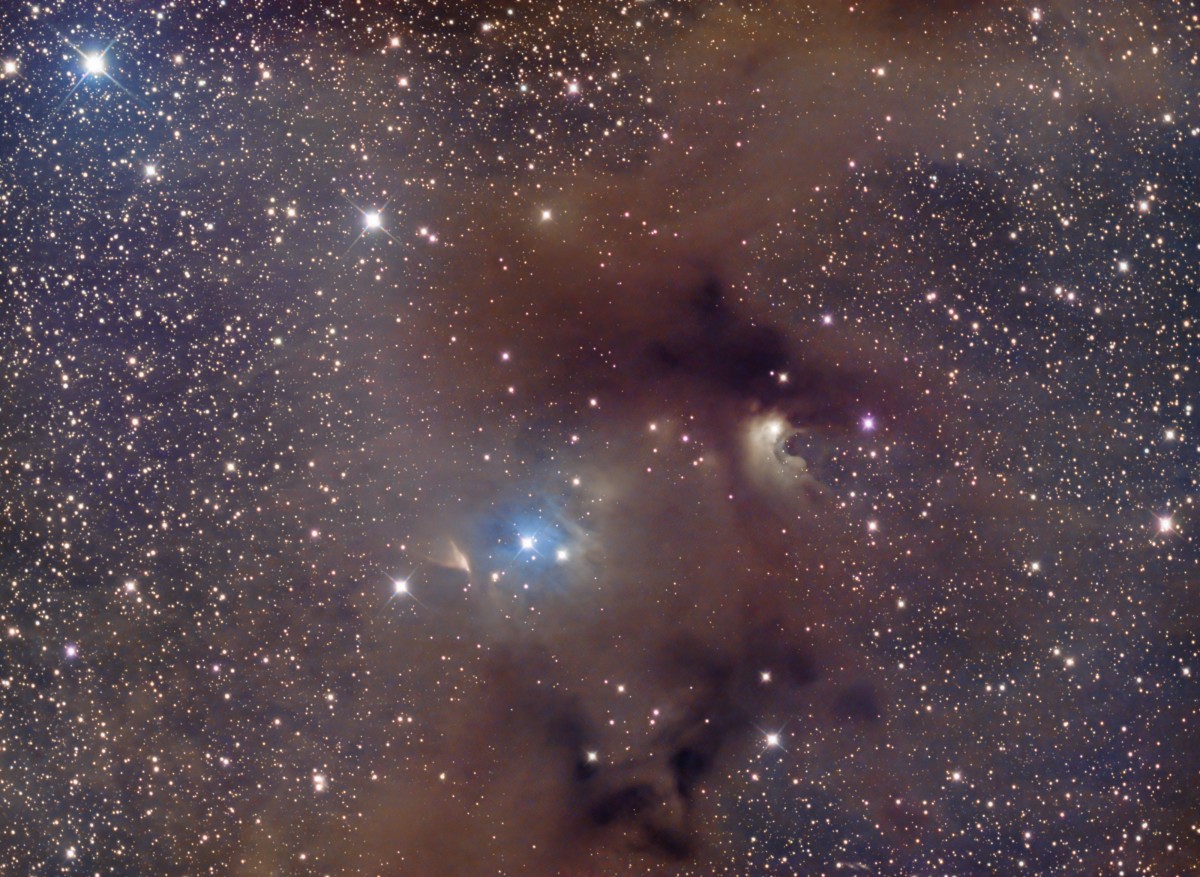 IC 2631 zoom