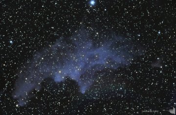 IC 2118 Witch Head Nebula