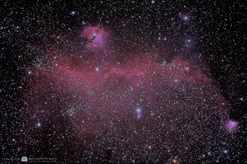 IC 2177 Seagull Nebula