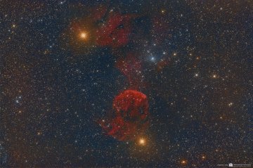 IC 443 The Jellyfish Nebula