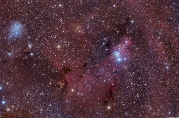 IC 447 and NGC 2264 and ngc 2261