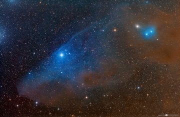 IC 4592 Horse Head Shaped Reflection Nebula