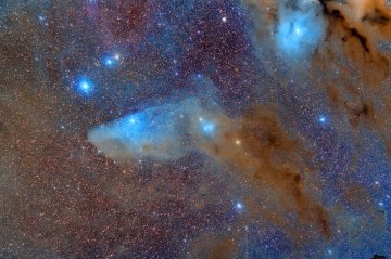 IC4592 and IC4601