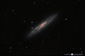 NGC 253 Sculptor Galaxy