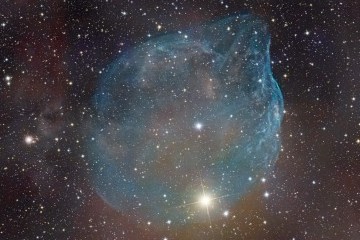 SH 308 The Dolphin Nebula
